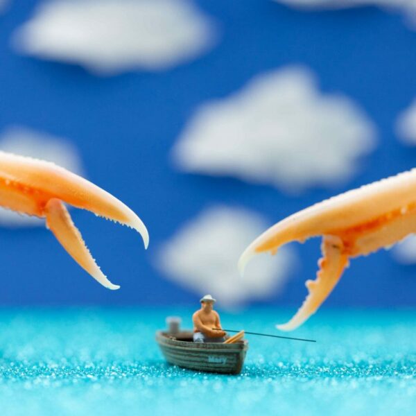Gonna need a bigger boat