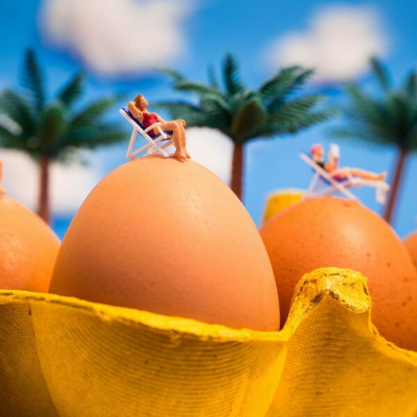 Incubation