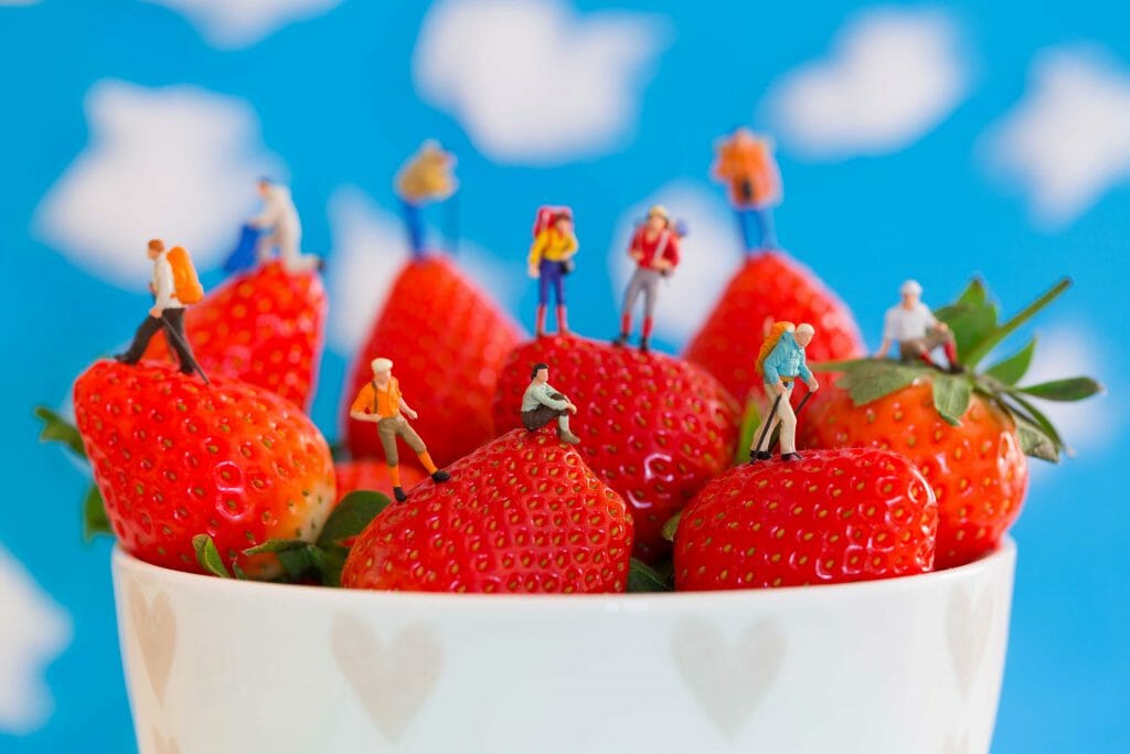 AIDA Strawberry fields