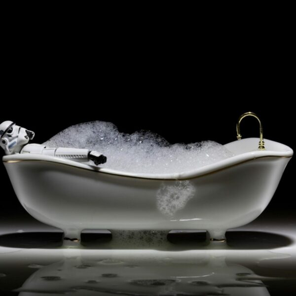 Bath Time