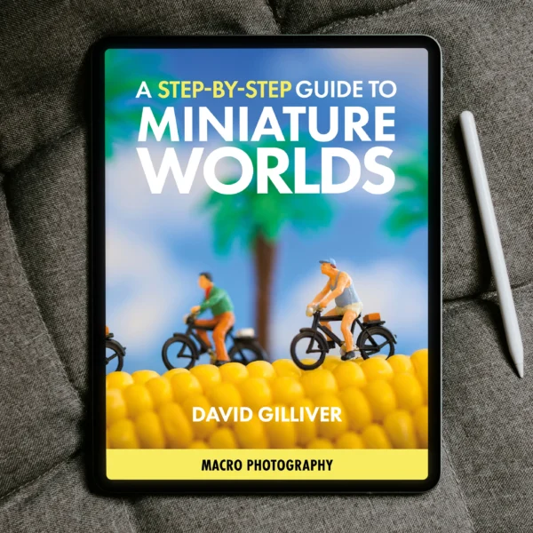 A Step-by-Step Guide to Miniature Worlds - Part One [eBook]