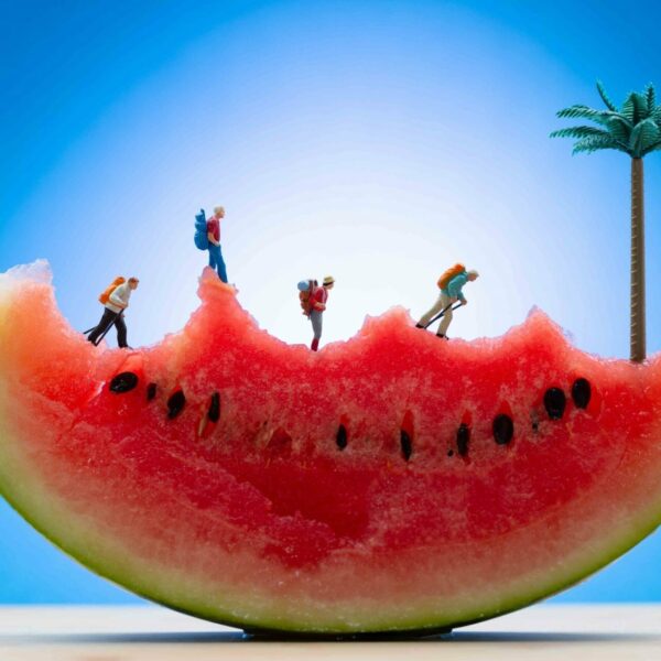 Mount Melon