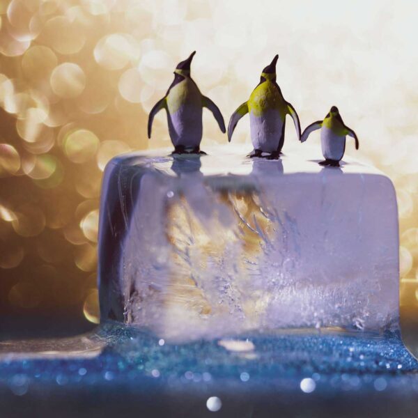 Anti-freeze