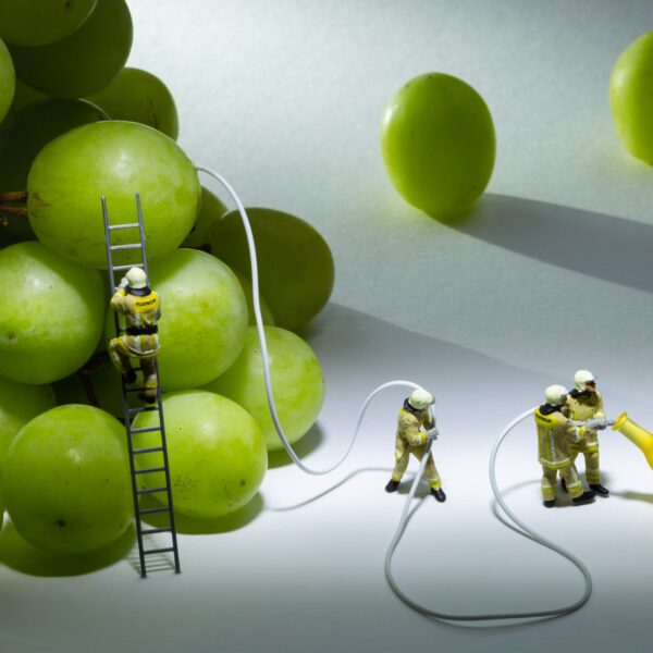 Wine Emergency!