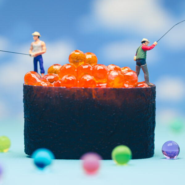 Line-caught sushi