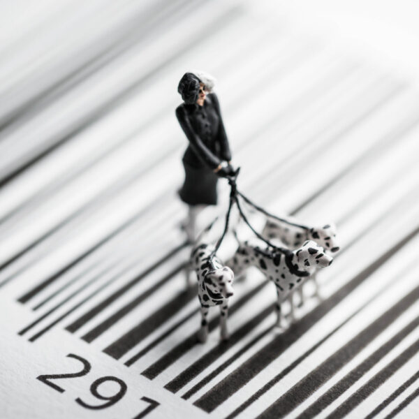 101 Dalmatians Crossing