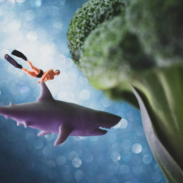 Broccoli Reef