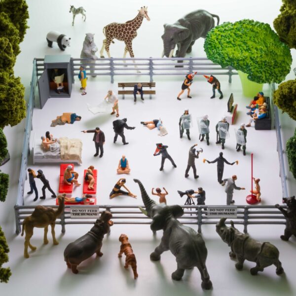 Human Zoo