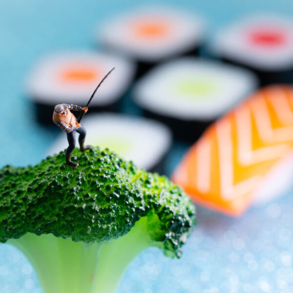 Line-caught sushi (II)