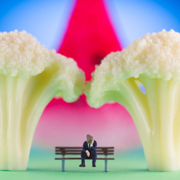 Melon-cauli