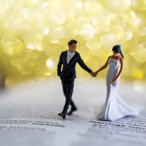 The big little day