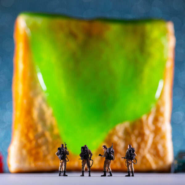 Toastbubsters